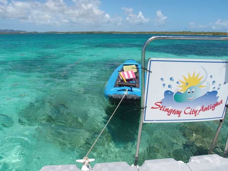 Stingray City Antigua